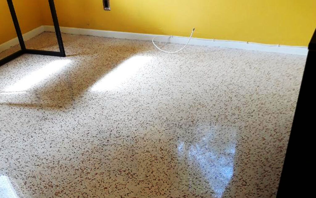 Terrazzo Floor Repair