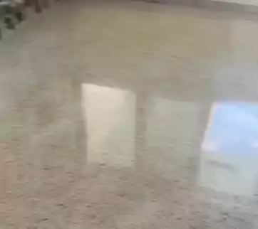 Floor Cleaning Polishing